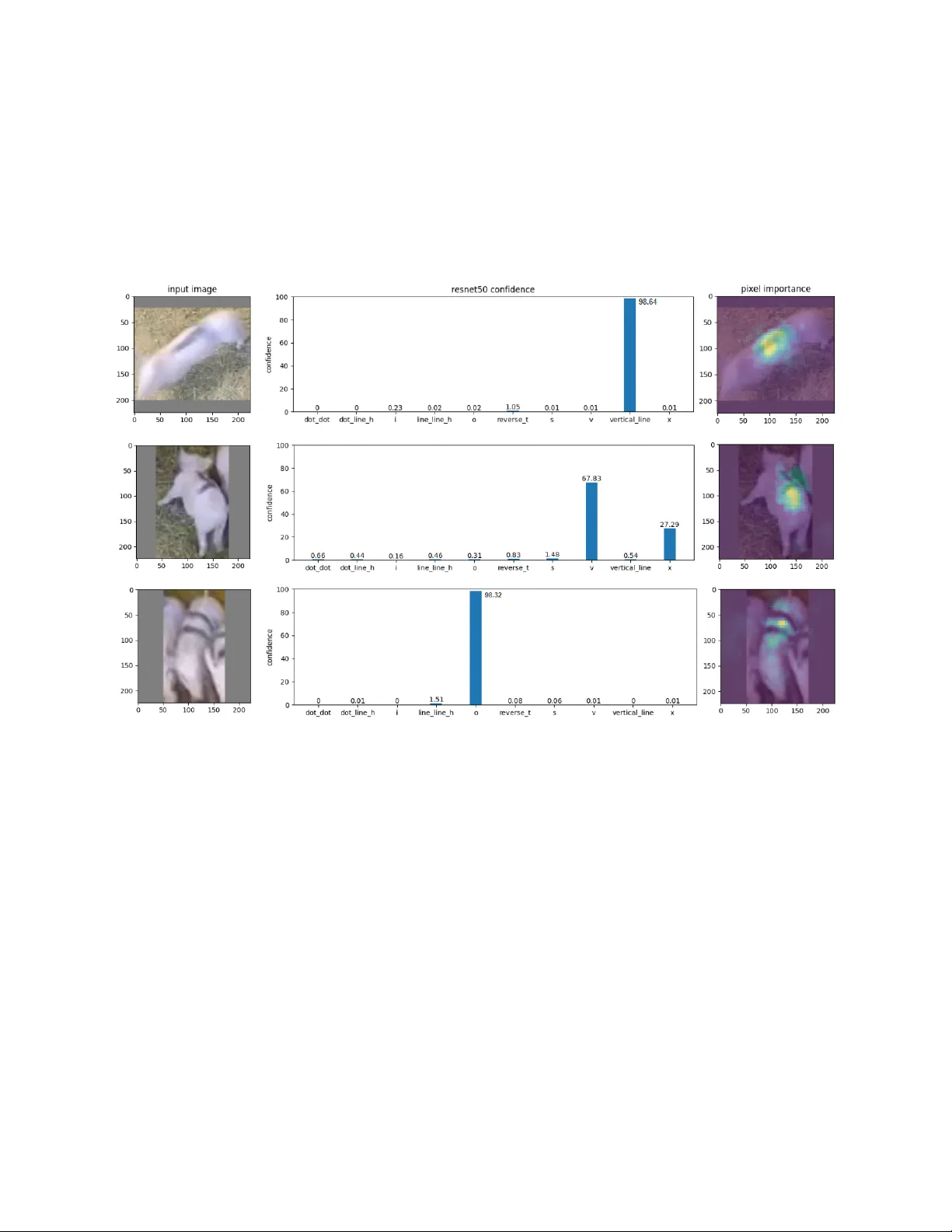 Insights on back marking for the automated identification of animals