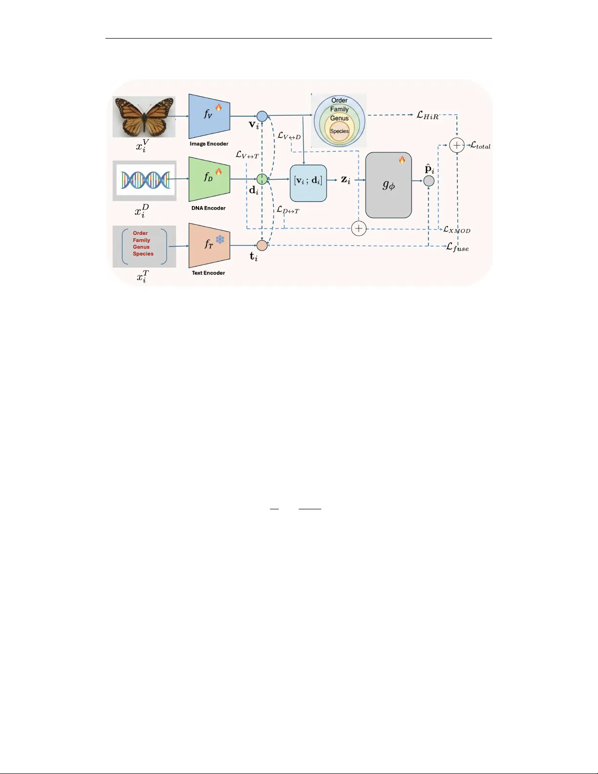Hierarchy-Guided Multimodal Representation Learning for Taxonomic Inference