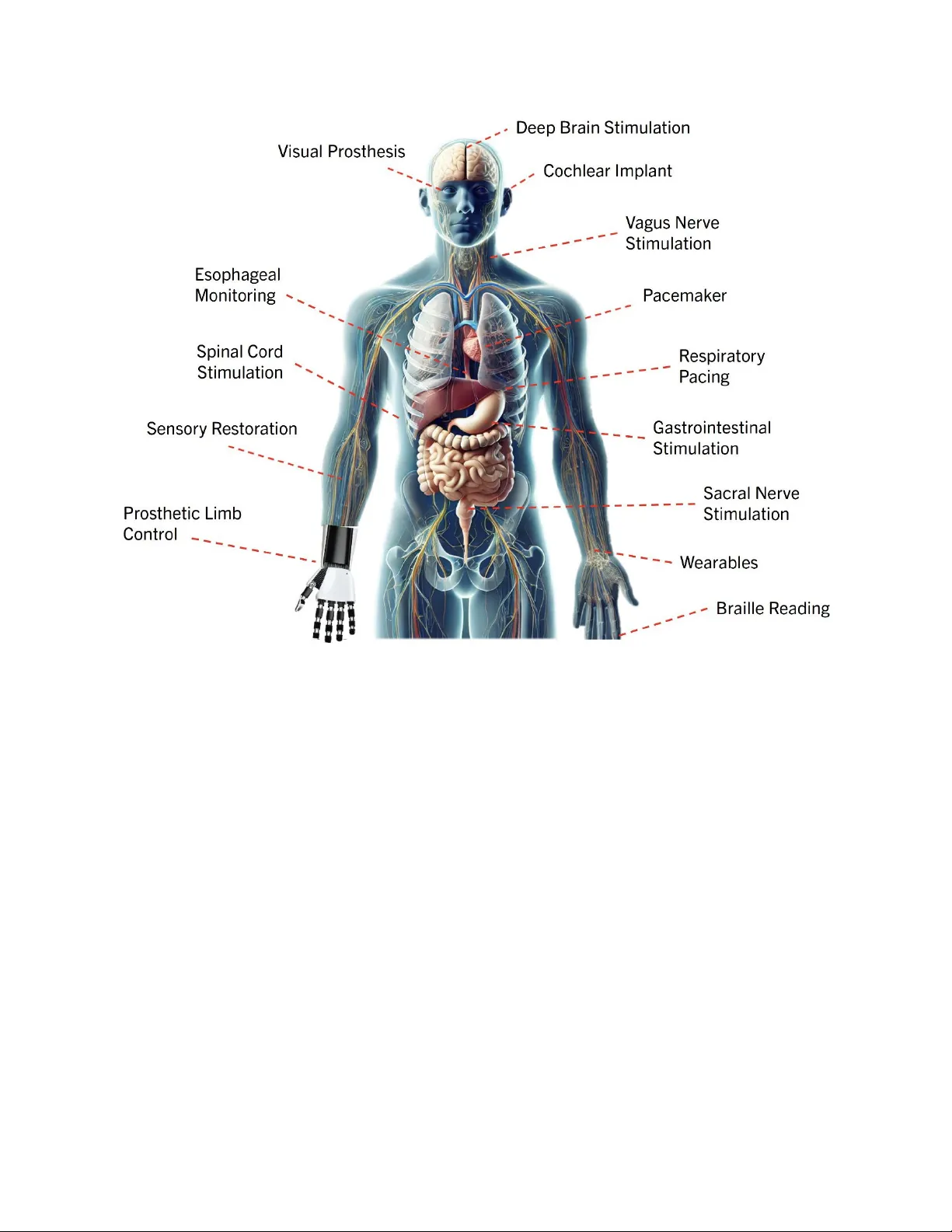 The role of neuromorphic principles in the future of biomedicine and healthcare