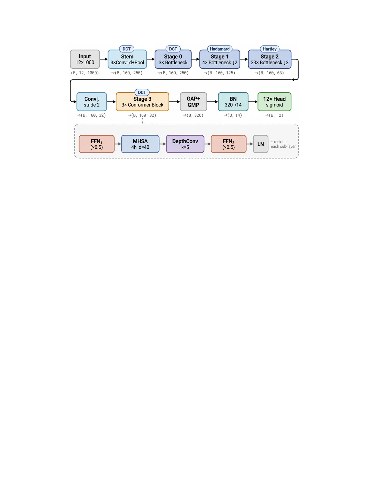 Bit-Identical Medical Deep Learning via Structured Orthogonal Initialization