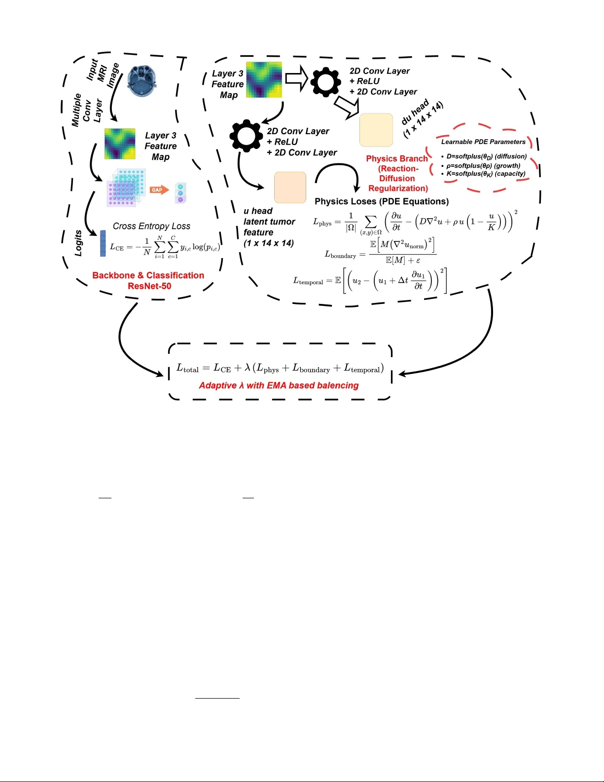 Physics-Embedded Feature Learning for AI in Medical Imaging