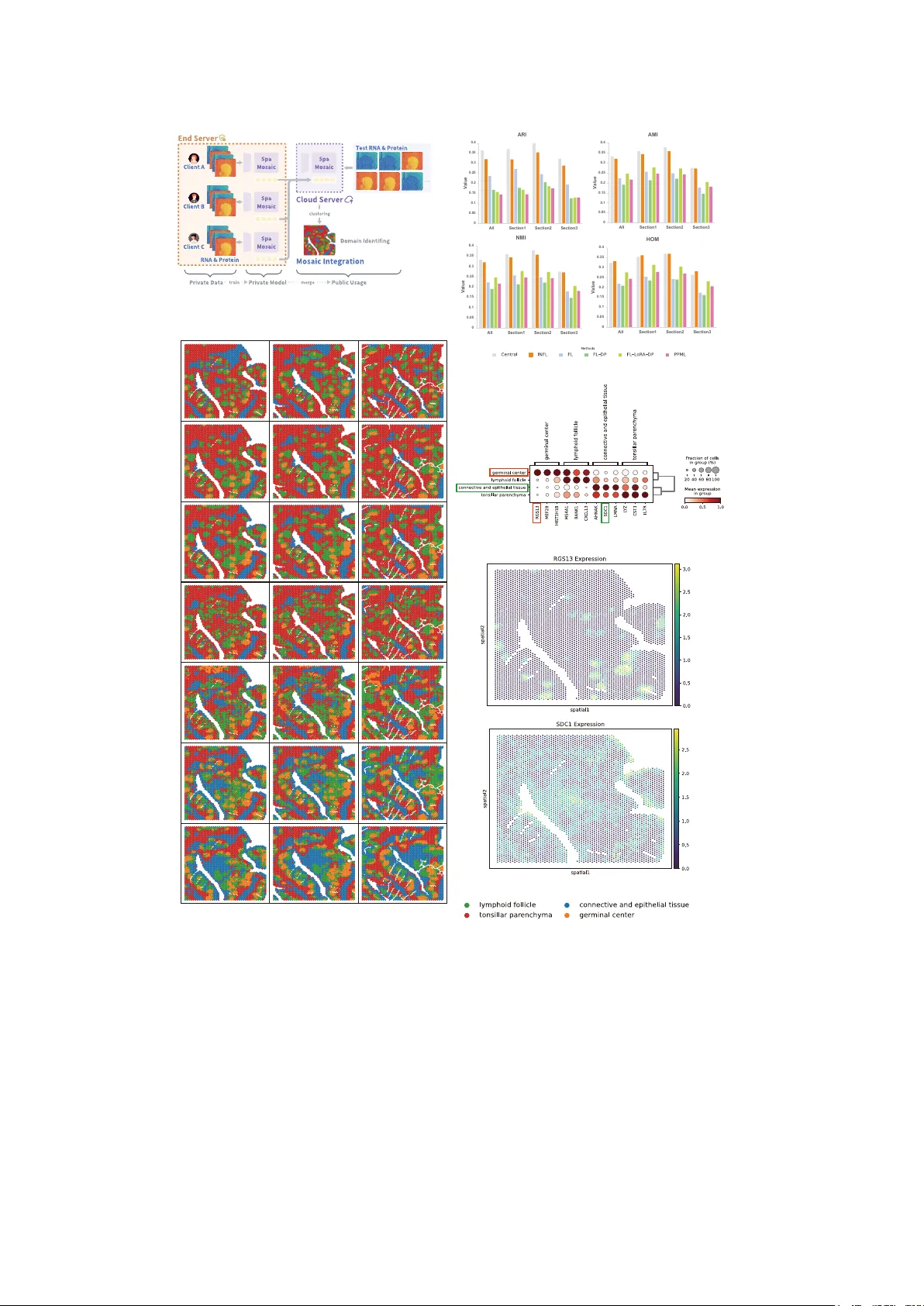 Key-Embedded Privacy for Decentralized AI in Biomedical Omics